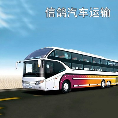中华运输信鸽汽运3羽——赛鸽天堂的汽运之旅